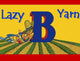 Lazy Bee Yarn
